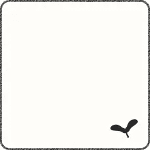 01-Cotton White
