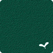 02-Cedar Green