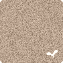 14-Nutmeg