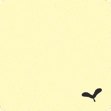 A6-Frosted Lemon